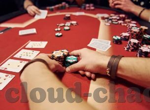 500万官网首页-探索500万官网首页，设计与功能的完美结合